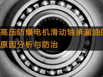高壓防爆電機(jī)滑動軸承漏油的原因分析與防治 