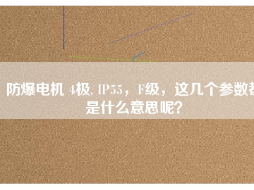 防爆電機 4極, IP55，F(xiàn)級，這幾個參數(shù)都是什么意思呢？
