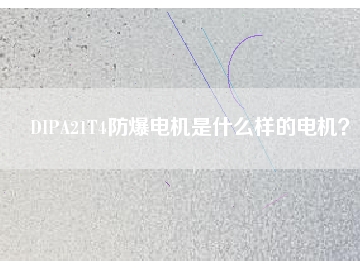 DIPA21T4防爆電機(jī)是什么樣的電機(jī)？
