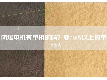 防爆電機(jī)有單相的嗎？要750W以上的單相220V