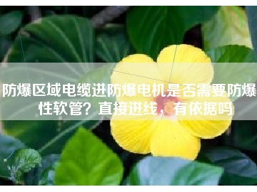 防爆區(qū)域電纜進(jìn)防爆電機(jī)是否需要防爆撓性軟管？直接進(jìn)線，有依據(jù)嗎