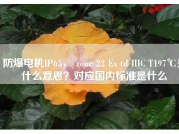 防爆電機(jī)IP65， zone 22 Ex td IIIC T197℃是什么意思？對(duì)應(yīng)國內(nèi)標(biāo)準(zhǔn)是什么