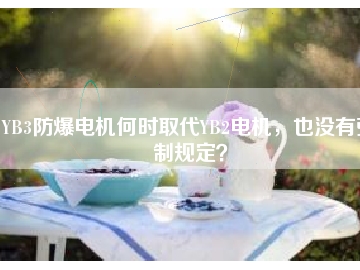 YB3防爆電機(jī)何時取代YB2電機(jī)，也沒有強(qiáng)制規(guī)定？