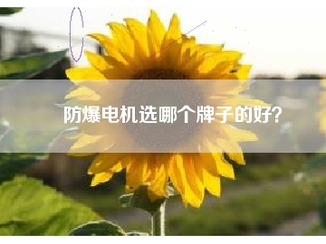 防爆電機(jī)選哪個牌子的好？