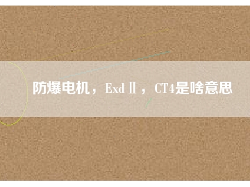 防爆電機，ExdⅡ，CT4是啥意思