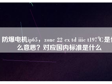 防爆電機(jī)ip65，zone 22 ex td iiic t197℃是什么意思？對(duì)應(yīng)國內(nèi)標(biāo)準(zhǔn)是什么