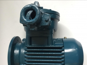 隔爆型防爆電機的結(jié)構特點