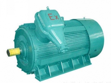 防爆電機(jī)如何出現(xiàn)掃膛、振動(dòng)、軸承過熱要怎么處理