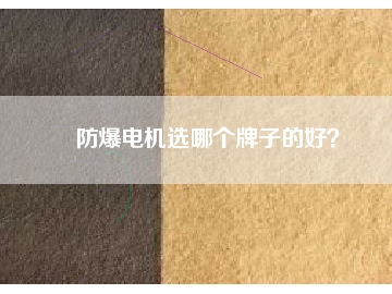 防爆電機選哪個牌子的好？