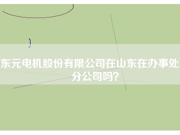 東元電機股份有限公司在山東在辦事處或分公司嗎？