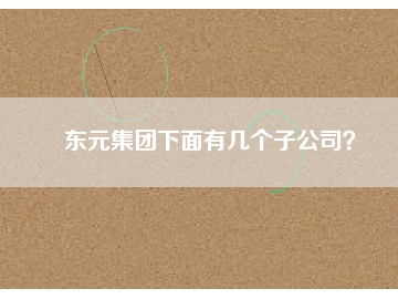 東元集團下面有幾個子公司？