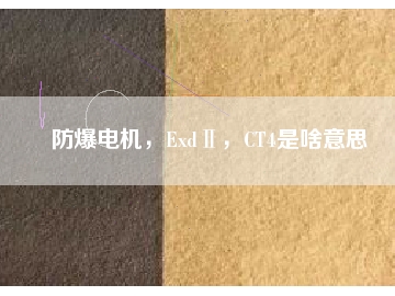 防爆電機(jī)，ExdⅡ，CT4是啥意思