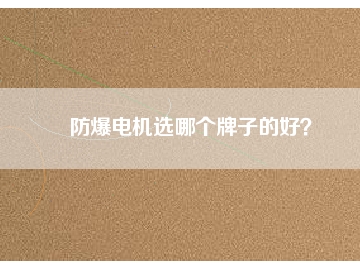 防爆電機(jī)選哪個(gè)牌子的好？