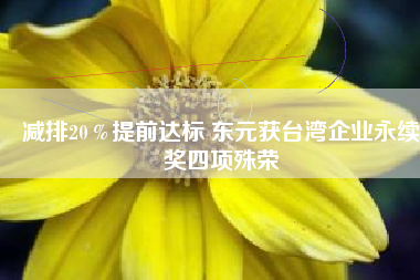 減排20％提前達標(biāo) 東元獲臺灣企業(yè)永續(xù)獎四項殊榮