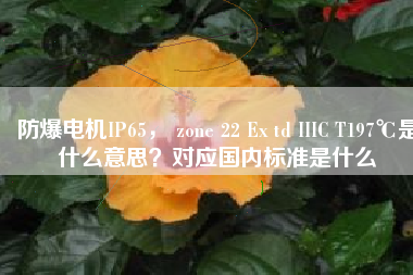 防爆電機(jī)IP65， zone 22 Ex td IIIC T197℃是什么意思？對(duì)應(yīng)國(guó)內(nèi)標(biāo)準(zhǔn)是什么