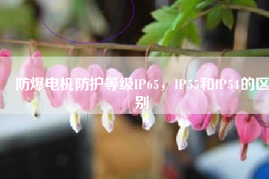 防爆電機(jī)防護(hù)等級(jí)IP65，IP55和IP54的區(qū)別