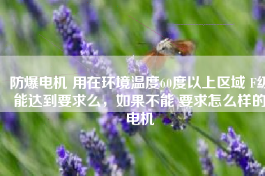 防爆電機 用在環(huán)境溫度60度以上區(qū)域 F級能達到要求么，如果不能 要求怎么樣的電機