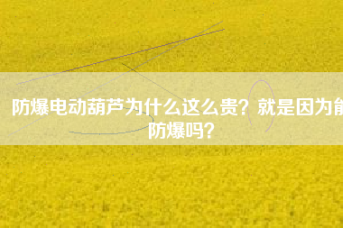 防爆電動葫蘆為什么這么貴？就是因為能防爆嗎？