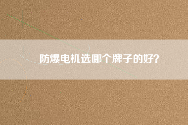 防爆電機(jī)選哪個(gè)牌子的好？