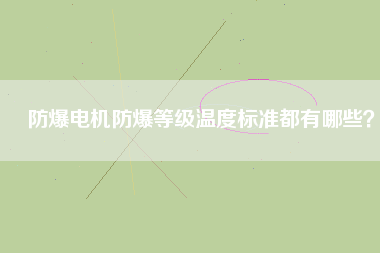 防爆電機(jī)防爆等級(jí)溫度標(biāo)準(zhǔn)都有哪些？